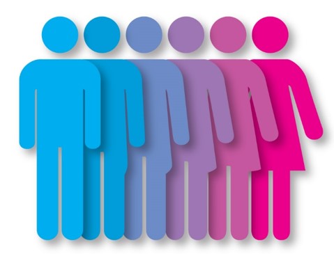 gender diverse and transgender training